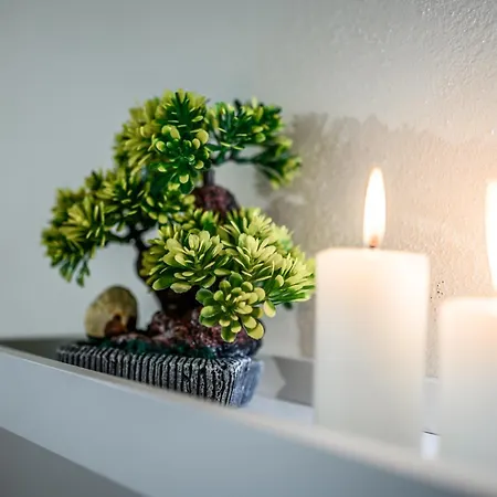 Apartman Le Volte *